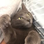 Anna - @anna_hargis_1677017 - Instagram