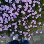Ana Harkness - Facebook