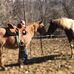 Anna Harlan - Facebook
