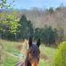 Anna Harlan - Facebook