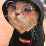 anna hatfield - @oomp_aloompa_ - Instagram