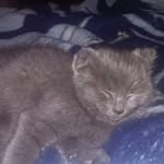 Anna Hatten - @hatten6085 - Instagram