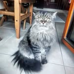 Anna Heald - @vincent_heald - Instagram