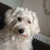 Anna Heald - @annahe2905 - TikTok