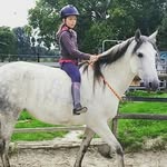 Anna (heino) - @heino54 - Instagram