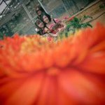 Anna Heng - @gaiplen - Instagram
