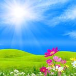 Anna Heng - Facebook