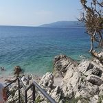 Anna Hermann - @hermann1550 - Instagram