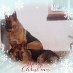 Anna Hermann - @anna.hermann.566 - Instagram