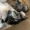 user450900 - @anna.hermann05 - TikTok