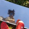 anna_herr_ - @anna_herr_ - TikTok