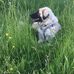 Anna Higginbotham - Facebook