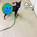 Anna Hight - Facebook