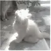 🤍🧸~annaaa~🧸🤍 - @anna.hill176 - TikTok