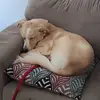 anna hinkle - @anna.hinkle60 - TikTok