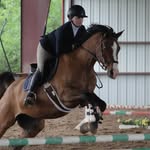 Anna Hobson - @annakhequestrian - Instagram
