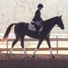 annahobson8 - @annahobson8 - TikTok