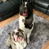 Hannah Holgate - @hannah.holgate - TikTok