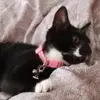 Anna Holmes - @anna.holmes29 - TikTok