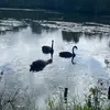 anna.holmes09 - @anna.holmes09 - TikTok