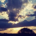 Anna Holte - @anna.holte.73 - Instagram