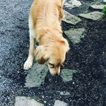Anna Holtz - @aholtz10 - Instagram