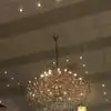 Anna Homer - @anna.homer5 - TikTok