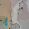 Anna Homerez - @anna.homerez - TikTok