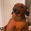 anna honey - @anna.honey1 - TikTok