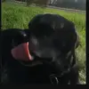 Anna - @anna.ahoo - TikTok