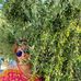Anna Hornig - Facebook