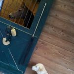 anna.horning#tacos - @annaclairehorning - Instagram