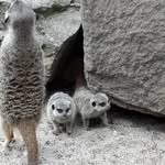 Anna Dorothea Horstmann - @annadorotheahorstma - Instagram
