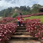 Anna Beatriz R Fonseca Horta - @anna.hortayoga - Instagram