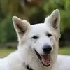 Anna_Hort - @anna_hort0 - TikTok