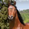 Anna Hort - @anna.hort - TikTok