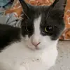 Anička 43 - @annahorvathova - TikTok