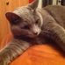 Anna Houde - Facebook