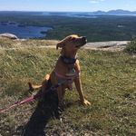 Anna Houle - @annahoule - Instagram