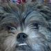 Anna Yates Howington - Facebook