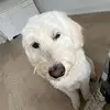 anna hoyle - @annahoyle2.0 - TikTok