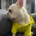 Anna Huber - Facebook