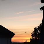 anna_huck - @anna_huck_ - Instagram