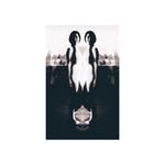 Anna Huckabay - @ahvideoart - Instagram