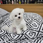 Anna Koščáková Lehovec - @anna.hudak.121 - Instagram