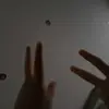 anna_hugelman - @anna_hugelman - TikTok