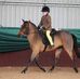 Pony Dreams with Rachael Anna Douglas &amp; Sir Hugo Hot Shot - Facebook