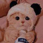 Анечка - @anna_huh.huh - Instagram