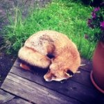 Anna Huh - @anna21052002 - Instagram