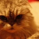 Anna Chris Huhn - @achris42 - Instagram